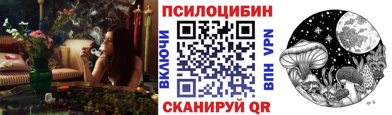 Галлюциногенные грибы GOLDEN TEACHER  где продают наркотики  Чита 