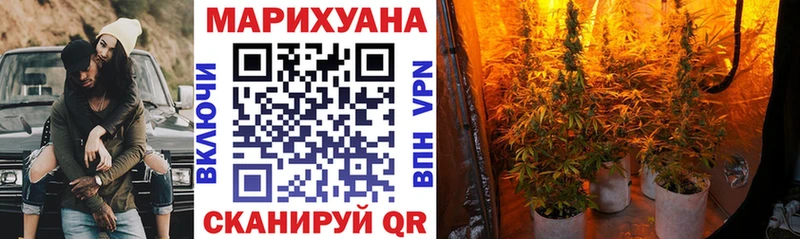 Бошки марихуана план Чита